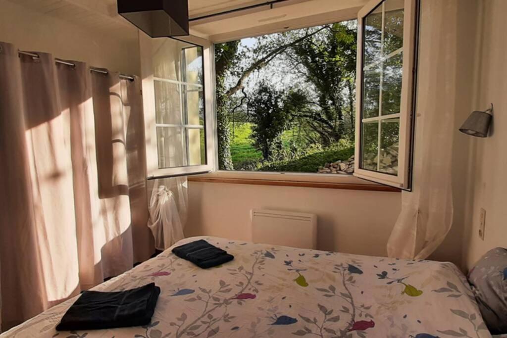 12 Rdc Appartement 2 Chambres Jardin Terrasse Ploneour-Lanvern Экстерьер фото