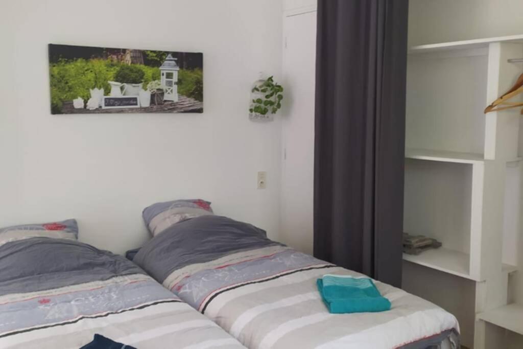 12 Rdc Appartement 2 Chambres Jardin Terrasse Ploneour-Lanvern Экстерьер фото